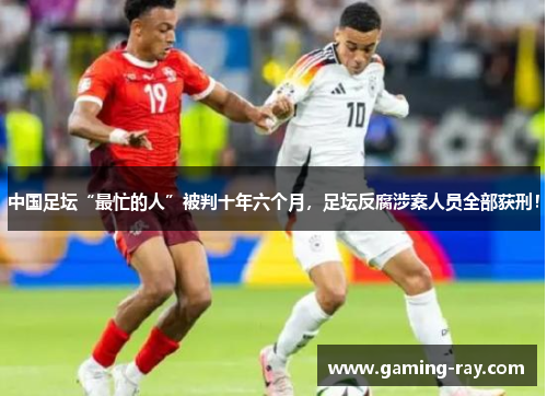 中国足坛“最忙的人”被判十年六个月，足坛反腐涉案人员全部获刑！